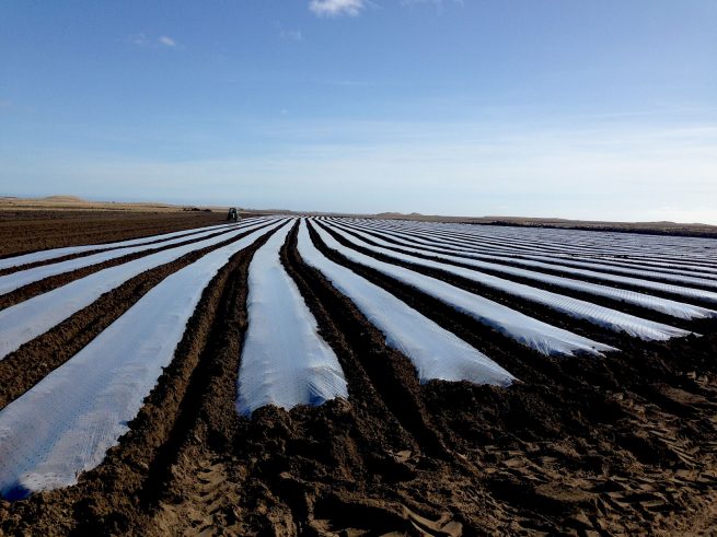 Mulch lifter will help potato farmer in Iceland