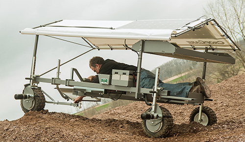 How Strawberries Are Harvested (And How It&#8217;s Changing)