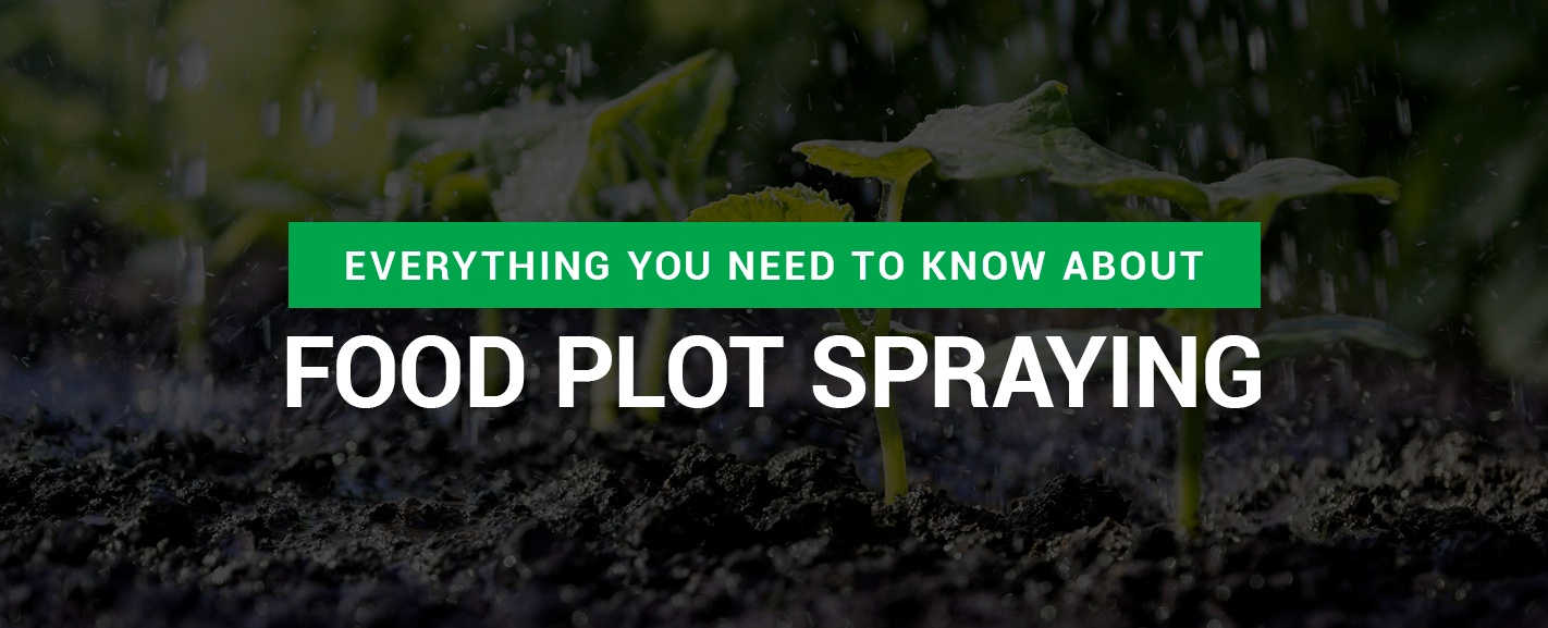 Everything You Need to Know About Food Plot Spraying