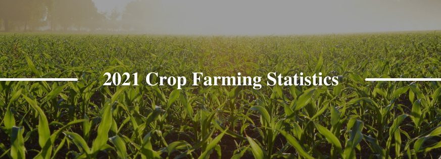 2021 Crop Farming Statistics