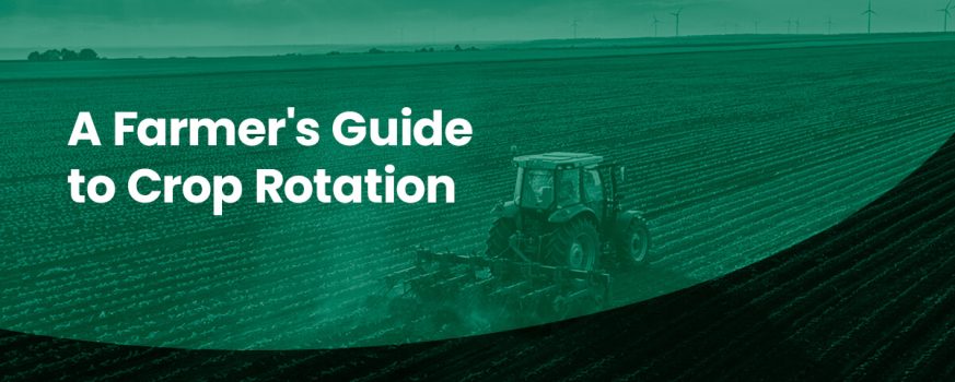 Farmer's Guide to Crop Rotation
