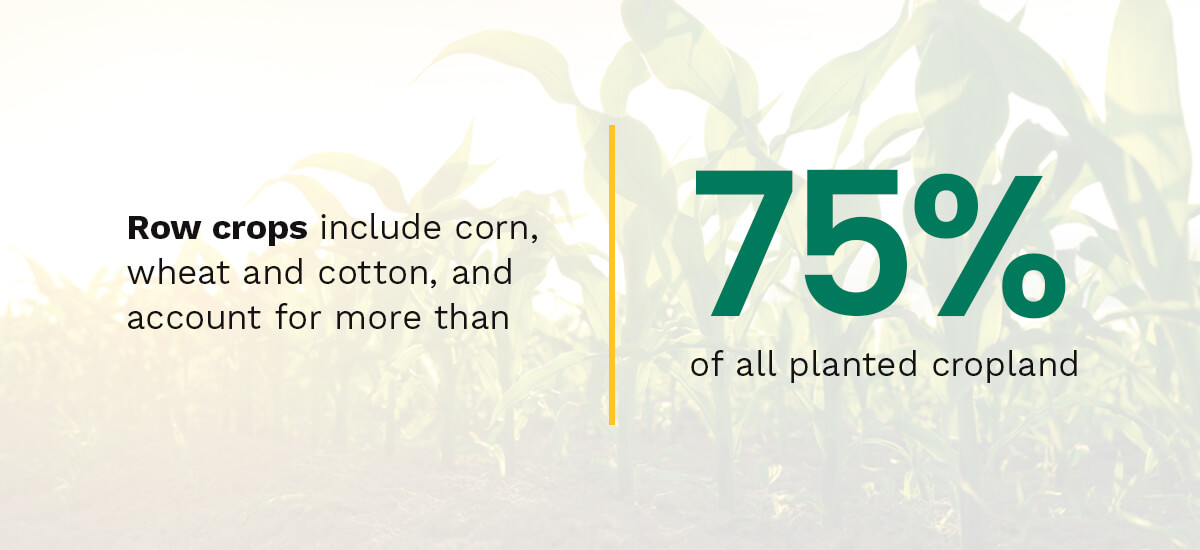 Understanding Crop Families