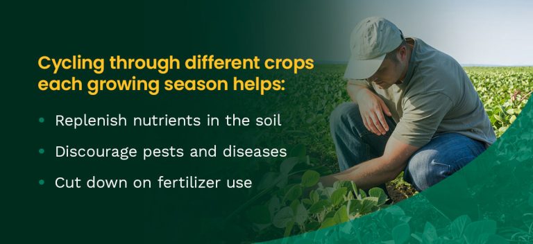 A Farmer's Guide to Crop Rotation | CropCare