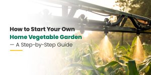 How to Start Your Own Home Vegetable Garden