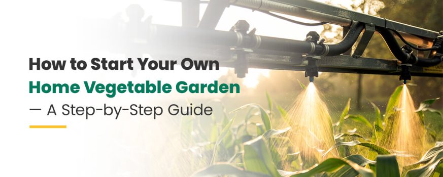 How to Start Your Own Home Vegetable Garden