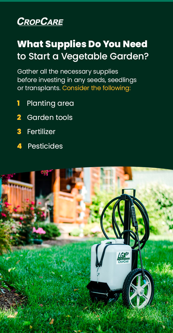 What Supplies do You Need to Start a Home Vegetable Garden