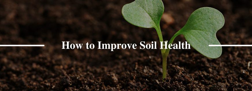 How to Improve Soil Health