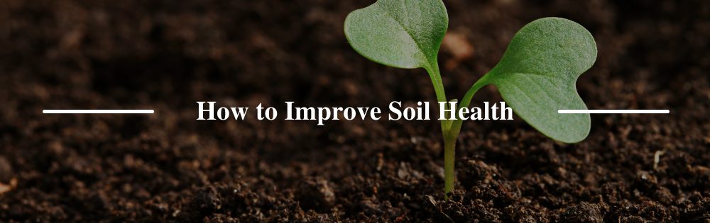 How to Improve Soil Health | CropCare