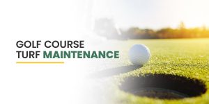 Golf Course Turf Maintenance