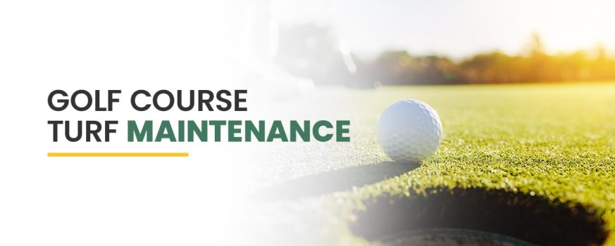 Golf Course Turf Maintenance
