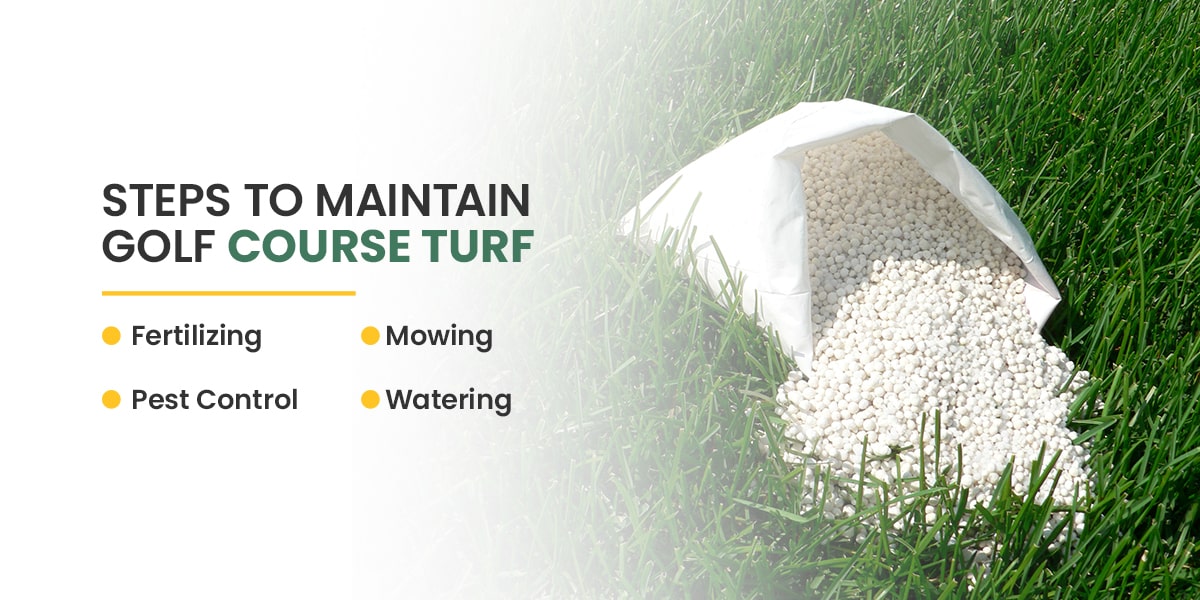 Steps to Maintain Golf Course Turf