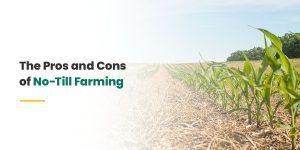 Pros and Cons of No-Till Farming