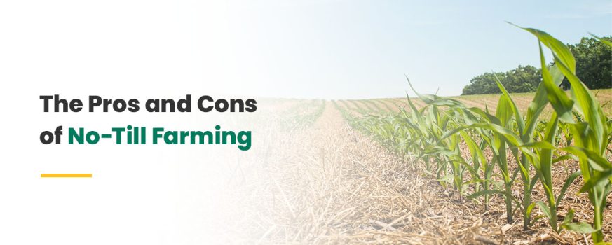 Pros and Cons of No-Till Farming