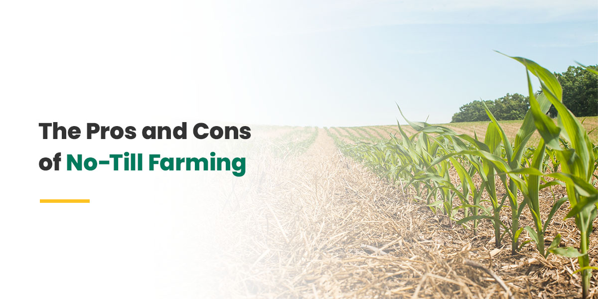 The Pros And Cons Of No Till Farming