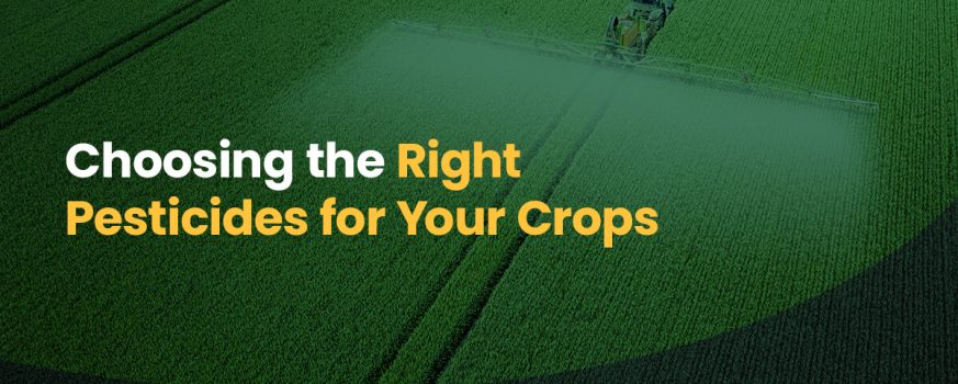 Choosing the Right Pesticides for Your Crops