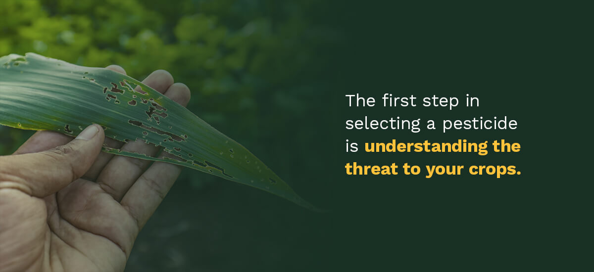 Understanding Threats to Your Crops