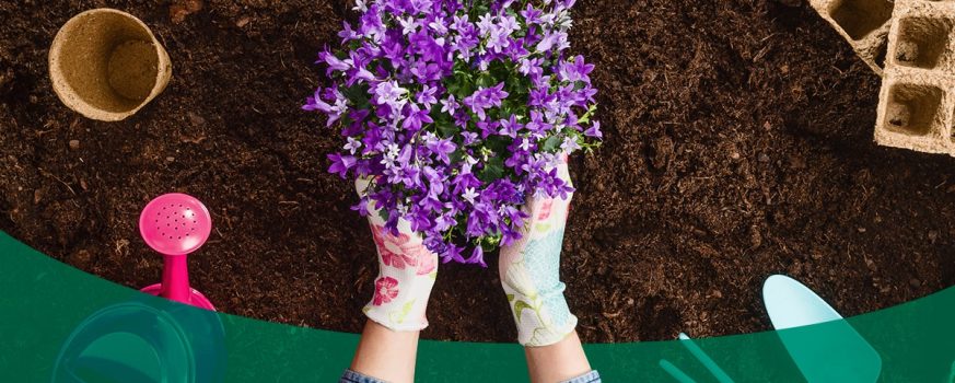 How to Start a Flower Garden for Beginners