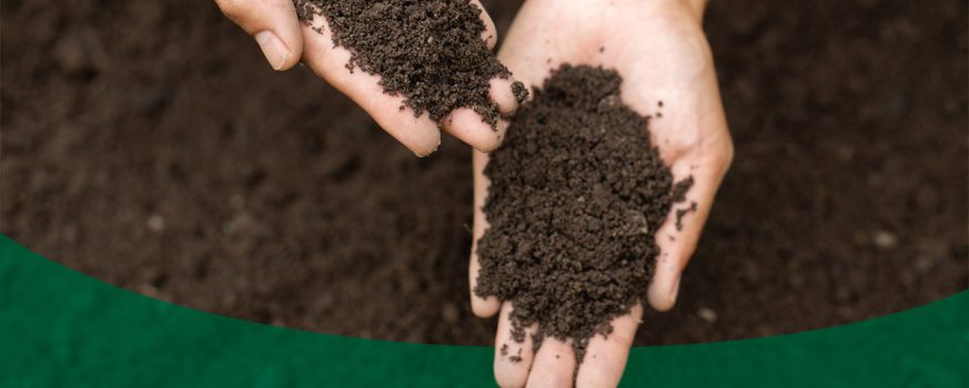 types of soil and what to grow in each