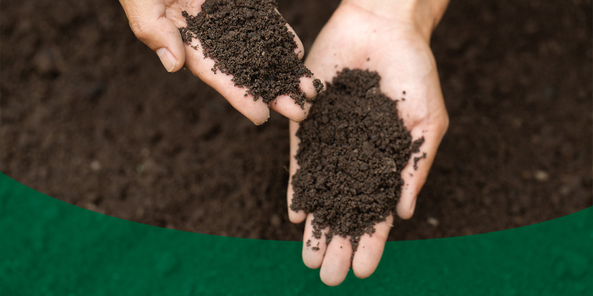 Types of Soil and What To Grow in Each | CropCare