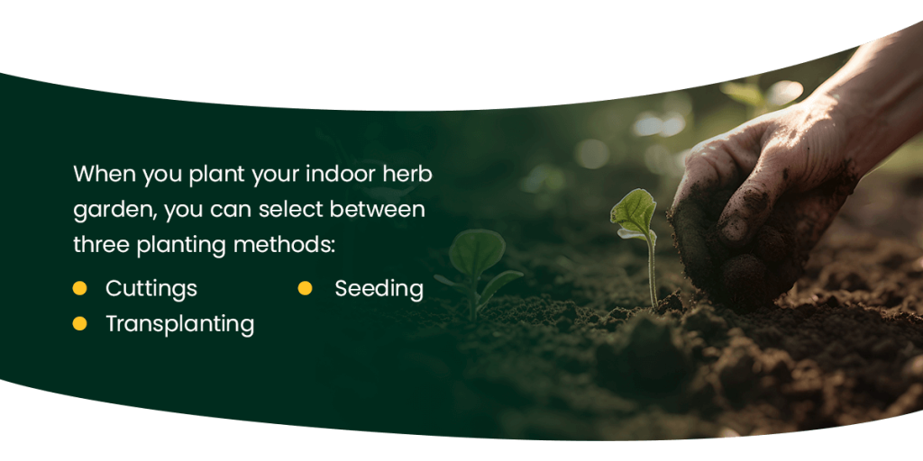 How to Grow an Indoor Herb Garden CropCare