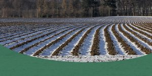 crop field covered in snow