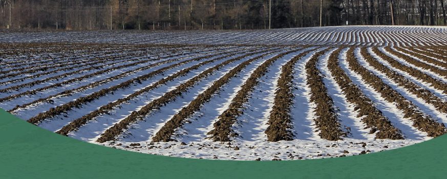 crop field covered in snow