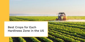best crops for each hardiness zone in the US