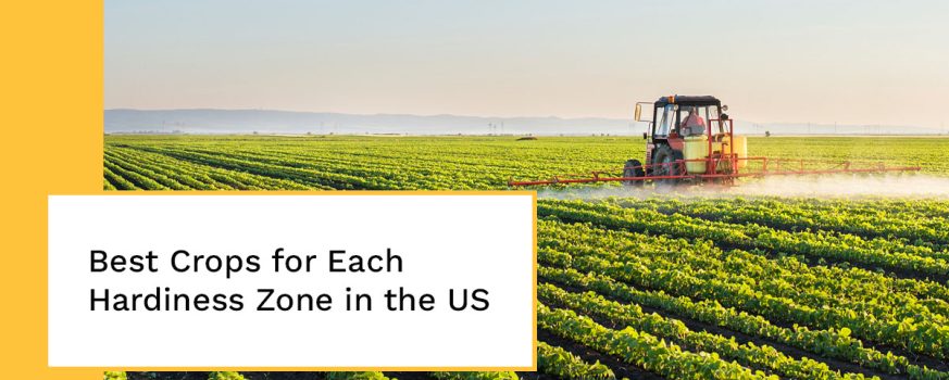 best crops for each hardiness zone in the US