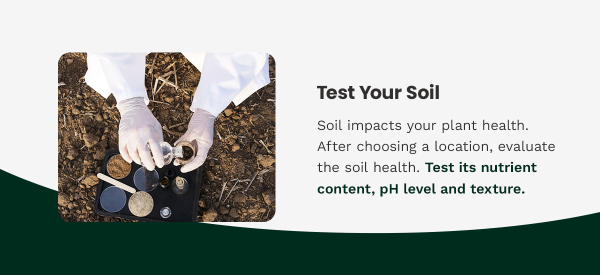 Test your soil